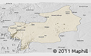 Shaded Relief Panoramic Map of Chibia, desaturated