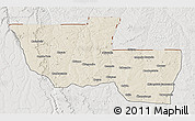 Shaded Relief 3D Map of Chitato, lighten, semi-desaturated