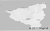 Gray Panoramic Map of Cacolo, single color outside