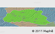 Political Panoramic Map of Dala, semi-desaturated