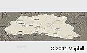 Shaded Relief Panoramic Map of Dala, darken
