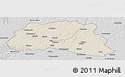 Shaded Relief Panoramic Map of Dala, desaturated