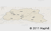 Shaded Relief Panoramic Map of Dala, lighten