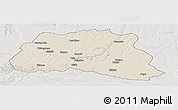Shaded Relief Panoramic Map of Dala, lighten, semi-desaturated