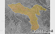 Satellite 3D Map of Luquembo, desaturated