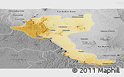 Physical Panoramic Map of Quela, desaturated