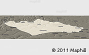 Shaded Relief Panoramic Map of Camanongue, darken