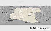 Shaded Relief Panoramic Map of Luau, darken, desaturated