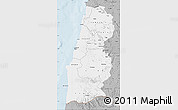 Gray Map of Namibe