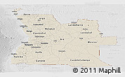 Shaded Relief Panoramic Map of Angola, lighten, desaturated