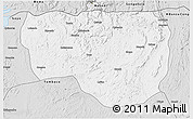 Silver Style 3D Map of Noqui