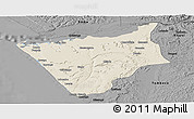 Shaded Relief Panoramic Map of Soyo, darken, desaturated