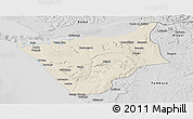 Shaded Relief Panoramic Map of Soyo, desaturated