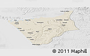 Shaded Relief Panoramic Map of Soyo, lighten, desaturated