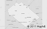 Silver Style 3D Map of Carlos Tejedor