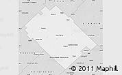 Silver Style Map of Carlos Tejedor