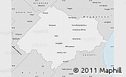 Silver Style Map of Chascomus