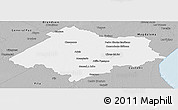Gray Panoramic Map of Chascomus