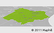 Physical Panoramic Map of Chascomus, lighten, desaturated
