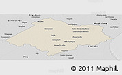 Shaded Relief Panoramic Map of Chascomus, desaturated