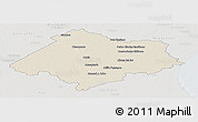 Shaded Relief Panoramic Map of Chascomus, lighten, semi-desaturated
