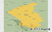Savanna Style Panoramic Map of Coronel Suarez