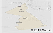 Shaded Relief Panoramic Map of Necochea, lighten, desaturated