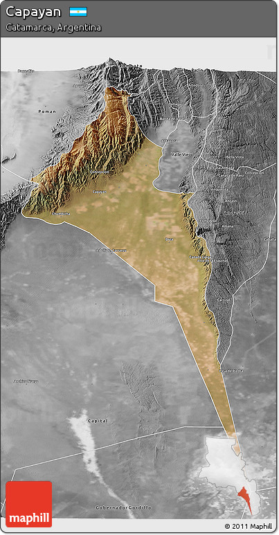 Satellite 3D Map of Capayan, desaturated