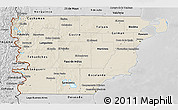 Shaded Relief 3D Map of Chubut, desaturated