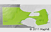 Physical 3D Map of Biedma, desaturated