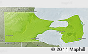 Physical 3D Map of Biedma, semi-desaturated
