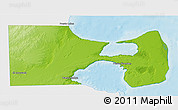 Physical 3D Map of Biedma, single color outside