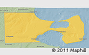 Savanna Style 3D Map of Biedma