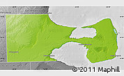 Physical Map of Biedma, desaturated