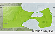 Physical Map of Biedma, semi-desaturated