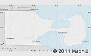 Silver Style Map of Biedma