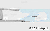 Gray Panoramic Map of Biedma