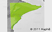 Physical 3D Map of Rawson, desaturated