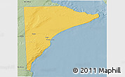 Savanna Style 3D Map of Rawson