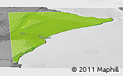 Physical Panoramic Map of Rawson, desaturated