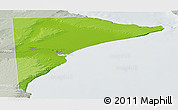 Physical Panoramic Map of Rawson, lighten, semi-desaturated