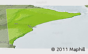 Physical Panoramic Map of Rawson, semi-desaturated