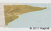 Satellite Panoramic Map of Rawson, lighten