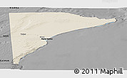 Shaded Relief Panoramic Map of Rawson, darken, desaturated