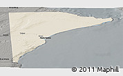 Shaded Relief Panoramic Map of Rawson, darken, semi-desaturated