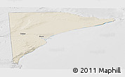 Shaded Relief Panoramic Map of Rawson, lighten, desaturated