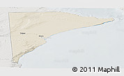 Shaded Relief Panoramic Map of Rawson, lighten, semi-desaturated
