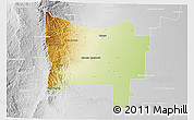 Physical 3D Map of Colon, lighten, desaturated