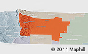 Political Panoramic Map of Colon, lighten, semi-desaturated