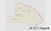 Shaded Relief 3D Map of Pilcomayo, lighten, desaturated
